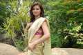 Isha Chawla New Saree Pics