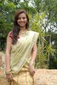 Isha Chawla New Saree Pics