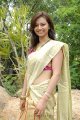 Isha Chawla New Saree Pics