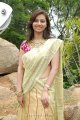 Isha Chawla New Saree Pics