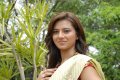 Isha Chawla New Saree Pics