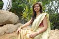 Isha Chawla New Saree Pics