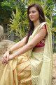 Isha Chawla New Saree Pics