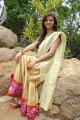 Isha Chawla New Saree Pics