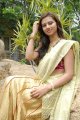 Isha Chawla New Saree Pics