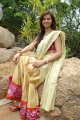 Isha Chawla New Saree Pics