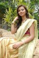 Isha Chawla New Saree Pics