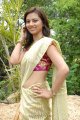 Isha Chawla New Saree Pics