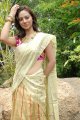 Isha Chawla New Saree Pics