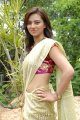 Isha Chawla New Saree Pics