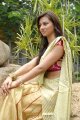 Isha Chawla New Saree Pics