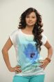 Telugu Actress Isha Chawla in Jeans Photoshoot Pics