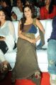 Telugu Actress Isha Talwar Photos in Sleeveless Dress
