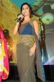 Actress Isha Talwar Photos at Gunde Jaari Gallanthayyinde Audio Release