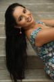 Ishika Singh Hot Gallery @ Meera Audio Release