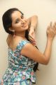 Ishika Singh Hot Photo Gallery @ Meera Audio Release