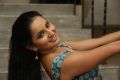 Ishika Singh Hot Gallery @ Meera Audio Launch