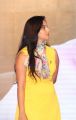 Actress Ishika Singh Images @ Golden Chance Audio Release