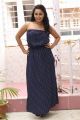 Tollywood Heroine Ishika Singh in Blue Dress Hot Images