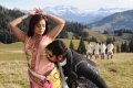 Vimal Nisha Agarwal @ Ishtam Movie Stills