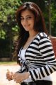 Nisha Agarwal in Ishtam Movie Stills