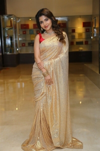 Spy Movie Actress Iswarya Menon Saree Images