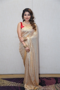 Spy Movie Actress Iswarya Menon Saree Images