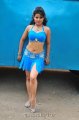 Madhu Sharma Latest Hot Stills