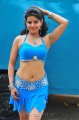 Madhu Sharma Latest Hot Stills