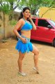 Madhu Sharma Latest Hot Stills