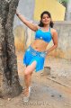 Madhu Sharma Latest Hot Stills