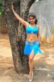 Madhu Sharma Latest Hot Stills