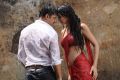 Arjun, Surveen Chawla in Itlu Prematho Movie Hot Stills