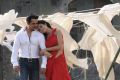 Arjun Sarja, Surveen Chawla in Itlu Prematho Movie Hot Stills