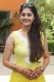 Actress Surabhi @ Ivan Vera Mathiri Press Meet Stills