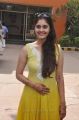 Actress Surabhi @ Ivan Vera Mathiri Movie Press Meet Stills