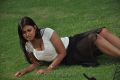 Ivan Yaaro Tamil Movie Hot Stills