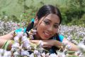 Actress Sarmistha in Jabaali Movie Hot Stills