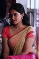 Jackson Durai Movie Actress Bindu Madhavi Photos