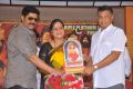 Jagadguru Adi Shankara Triple Platinum Disc Stills