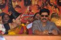 Jagadguru Adi Shankara Triple Platinum Disc Stills