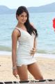 Actress Sanjana in Jagan Nirdoshi Hot Stills