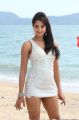 Actress Sanjana in Jagan Nirdoshi Hot Stills