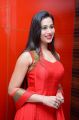 Actress Charlotte Claire @ Jai Hind 2 Movie Audio Launch Photos