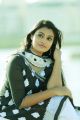 CSK Movie Actress Jai Quehaeni Stills