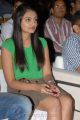 Nikitha Narayan at Jai Sriram Movie Audio Release Photos