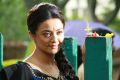 Actress Surveen Chawla in Jaihind 2 Tamil Movie Stills