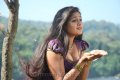 Jakkamma Meghana Raj Hot Spicy Pics