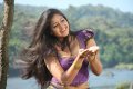 Jakkamma Meghana Raj Hot Spicy Pics