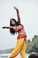 Actress Vyjayanthi in Jamaai Movie Stills
